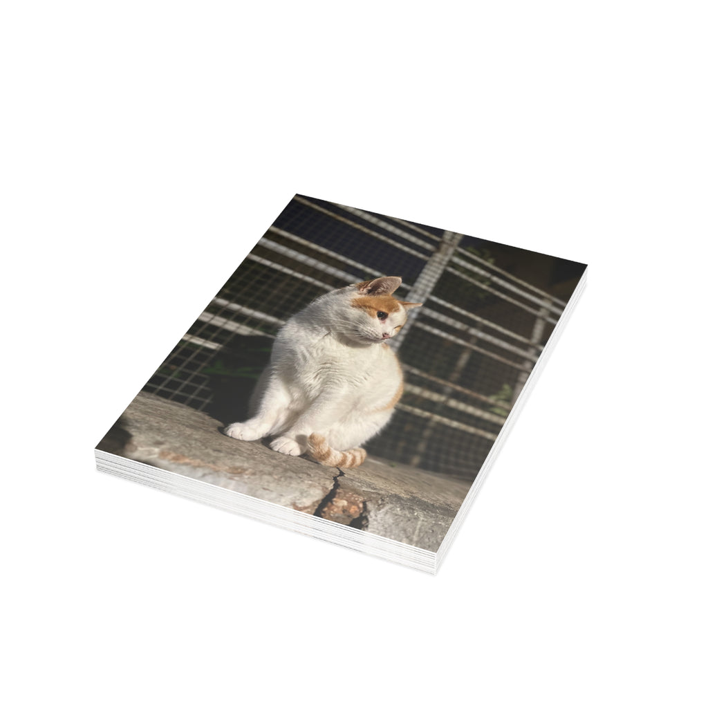 Einai Cat Enai Cat Postcard Bundles (envelopes included)