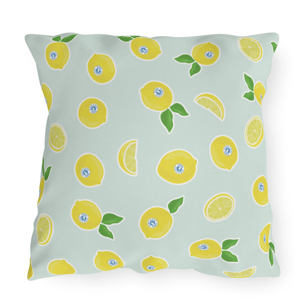 Organic Lemonia Outdoor Pillows