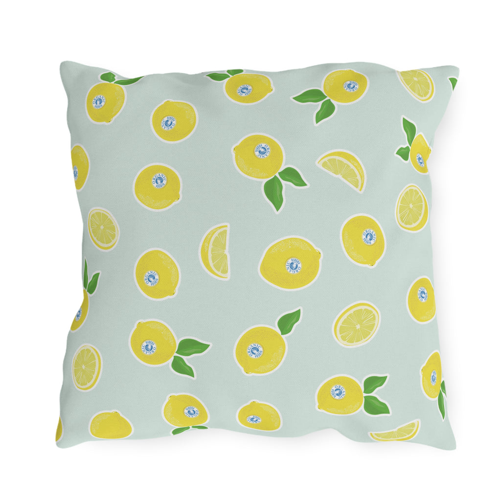 Organic Lemonia Outdoor Pillows