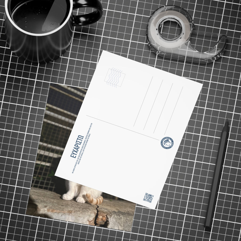 Einai Cat Enai Cat Postcard Bundles (envelopes included)