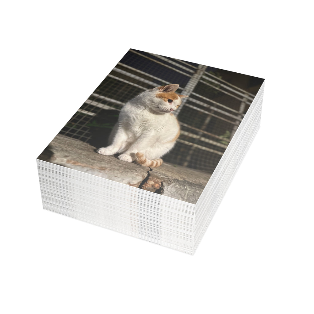 Einai Cat Enai Cat Postcard Bundles (envelopes included)