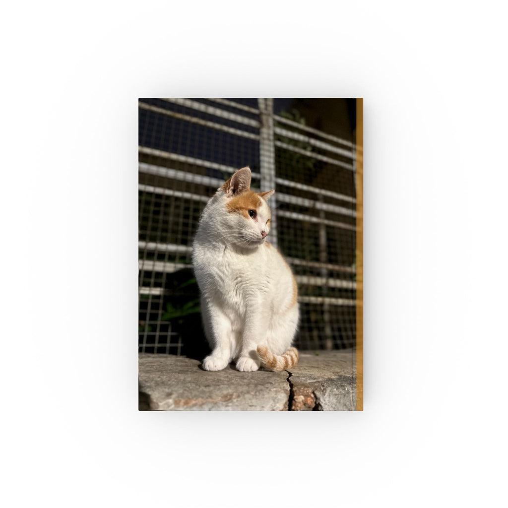 Two Sides Of Athens Hard Backed Journal