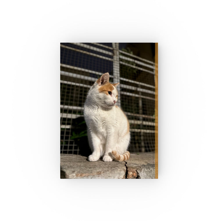 Two Sides Of Athens Hard Backed Journal