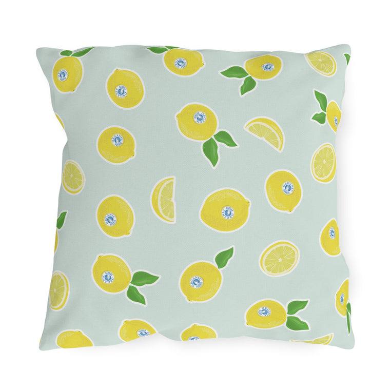 Organic Lemonia Outdoor Pillows