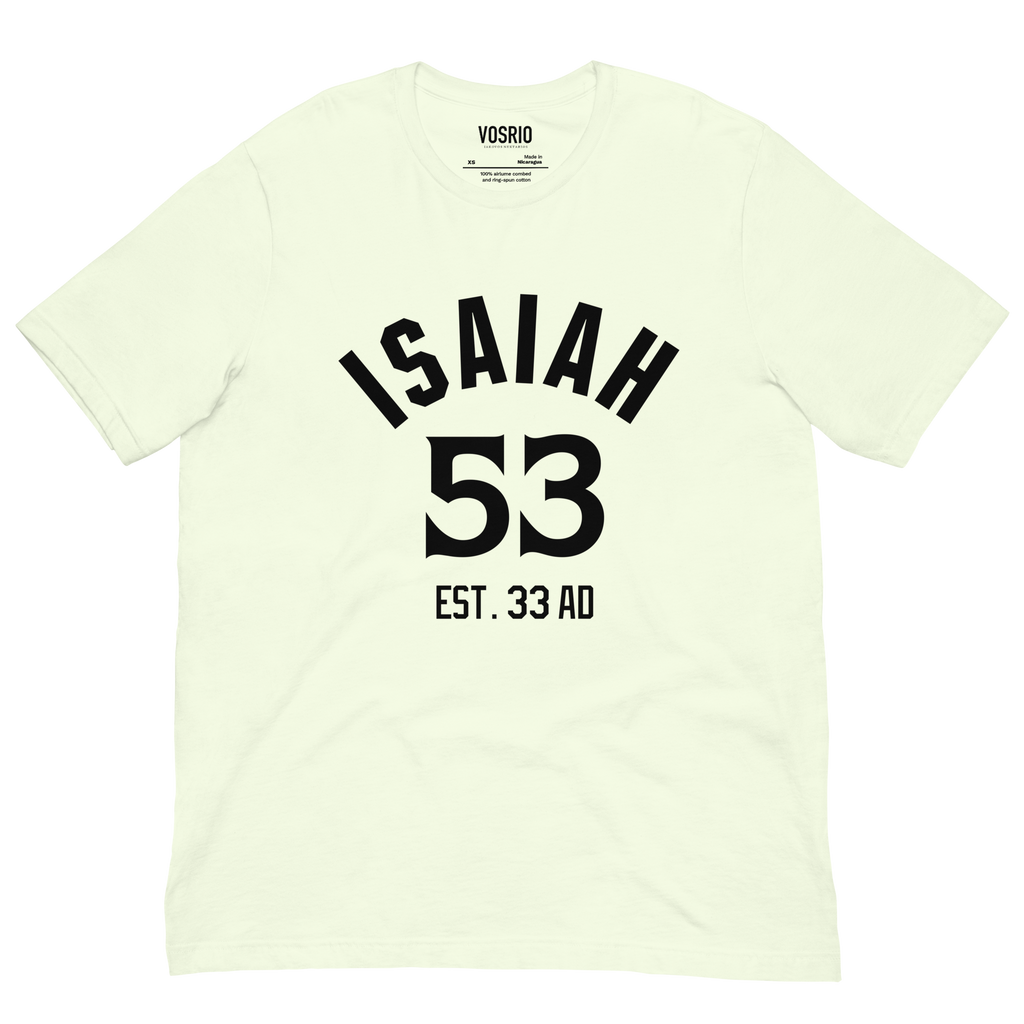 Isaiah 53 Established Unisex t-shirt