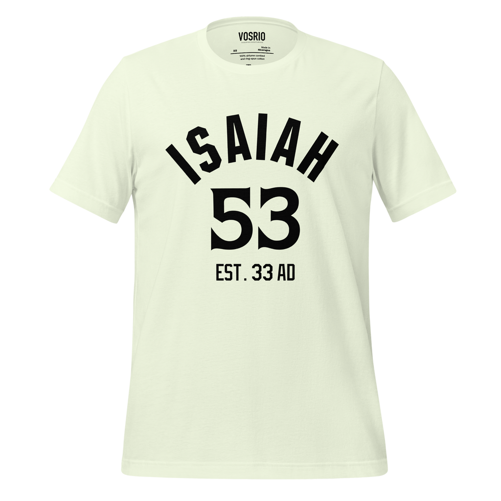 Isaiah 53 Established Unisex t-shirt