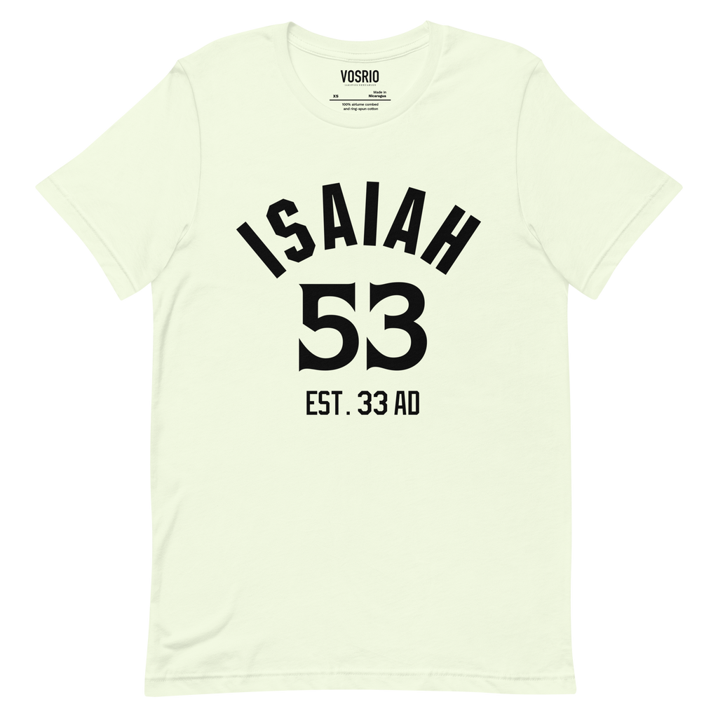 Isaiah 53 Established Unisex t-shirt