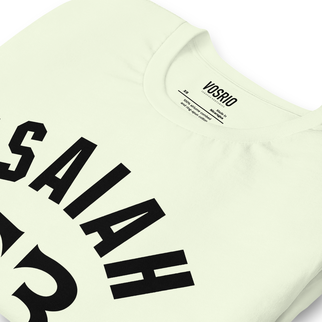 Isaiah 53 Established Unisex t-shirt