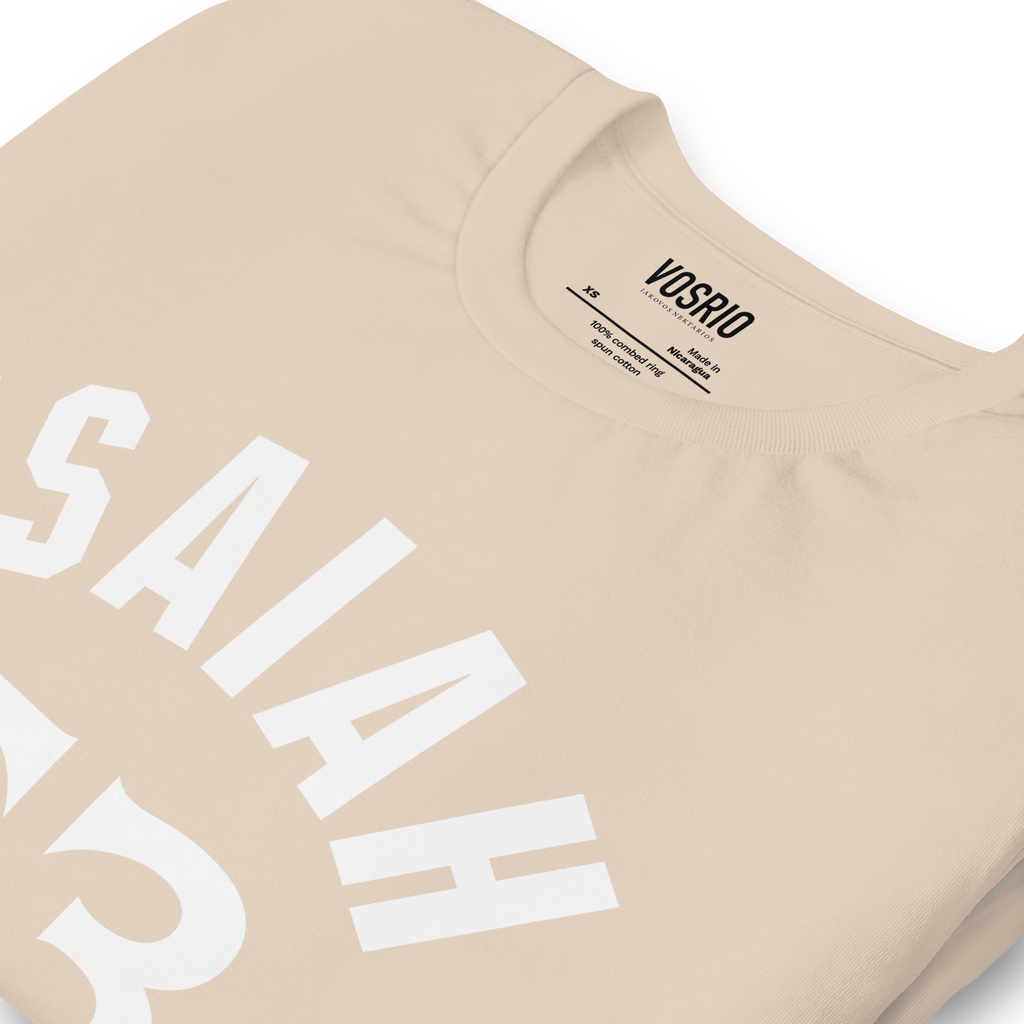 Isaiah 53 Established Unisex t-shirt